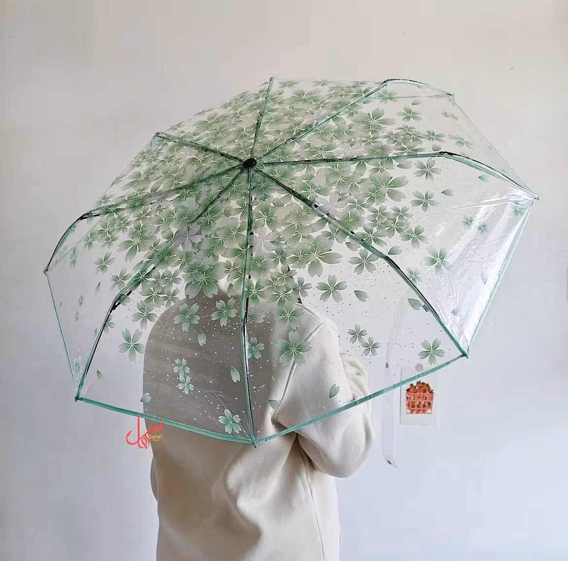 Transparent Umbrella