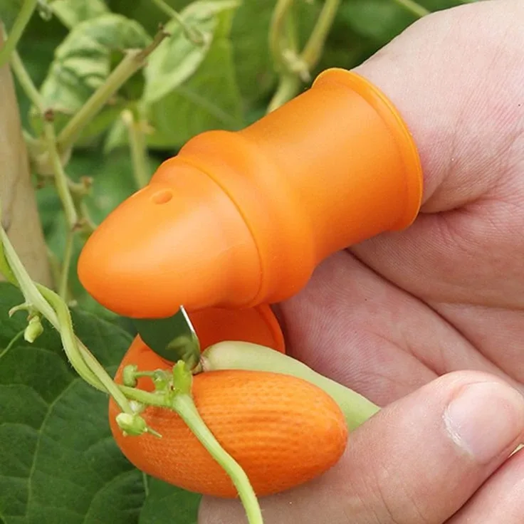 Silicone Thumb Knife with Finger Protectors (5 Pcs Set) Price in Bangladesh | ShopTalk BD