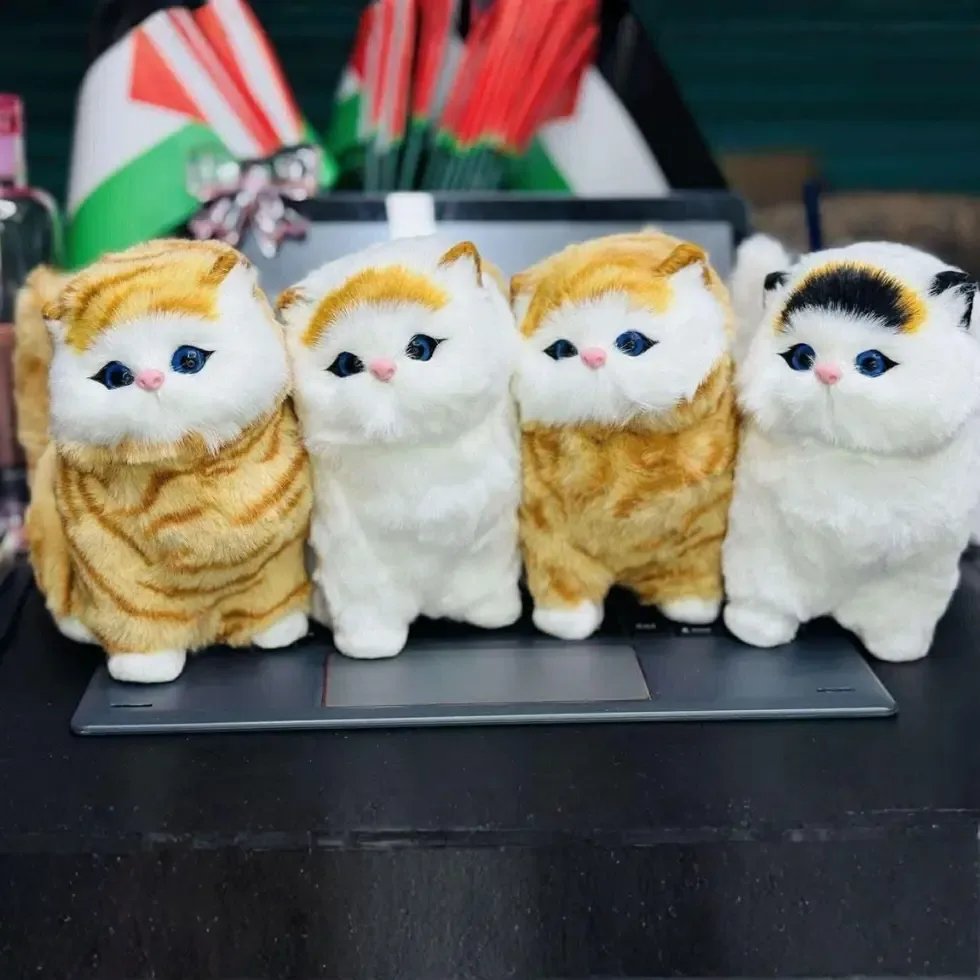 Realistic Mini Plush Cat Toy Price in Bangladesh | ShopTalk BD