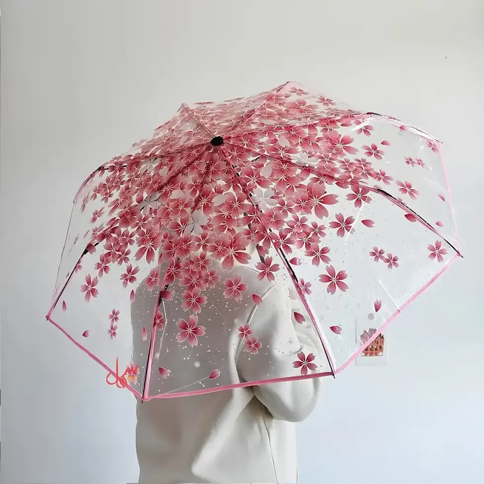 Transparent Umbrella Bangladesh Price in Bangladesh | ShopTalk BD