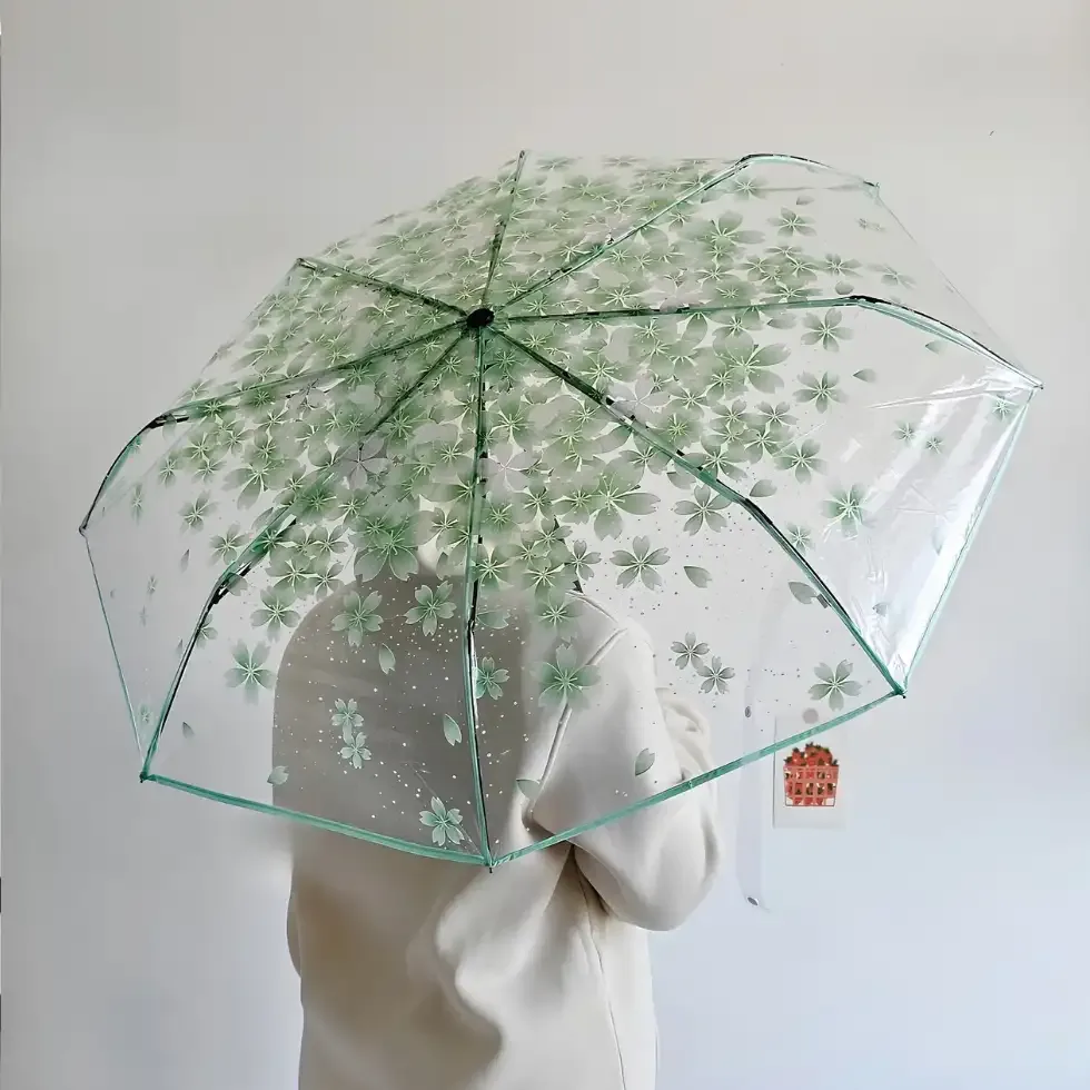 Transparent Umbrella Bangladesh Price in Bangladesh | ShopTalk BD