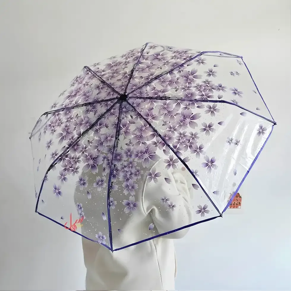 Transparent Umbrella Bangladesh Price in Bangladesh | ShopTalk BD