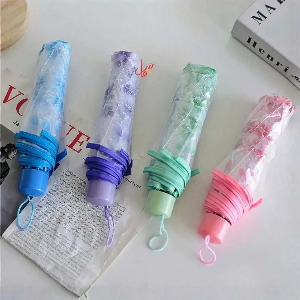 Transparent Umbrella Bangladesh Price in Bangladesh | ShopTalk BD